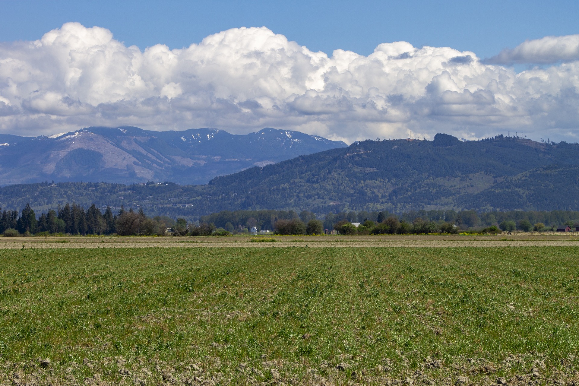 a field against a mountain backdrop